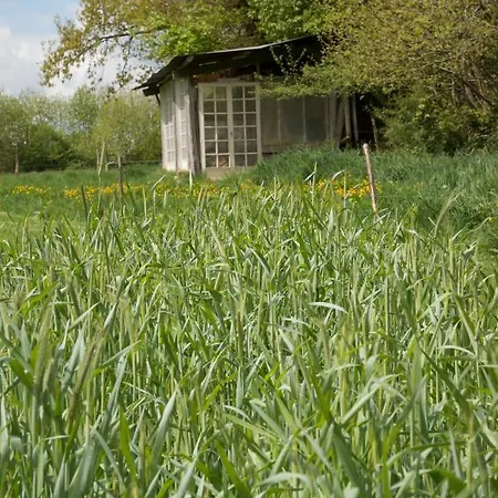 Sous Les Poiriers Camping Domfront (Orne)
